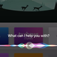Image for article titled Everything You Can Say to Siri on the New Apple TV